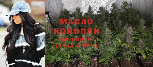 гашик Карпинск