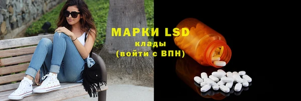 стафф Новосибирск