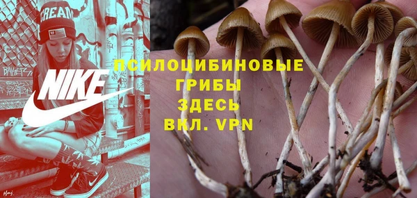 гашик Киренск