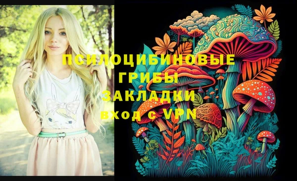 Альфа ПВП Киреевск