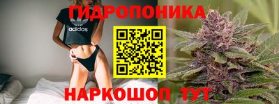 гашик Кандалакша