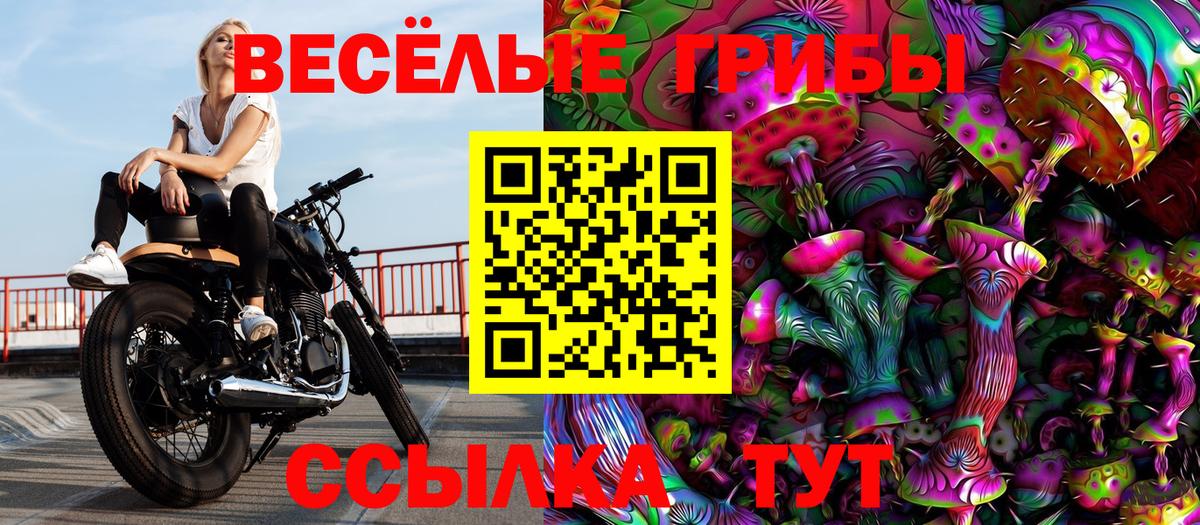 Троицк  Псилоцибиновые грибы GOLDEN TEACHER  Вход с VPN 