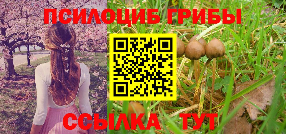 Троицк  Псилоцибиновые грибы MAGIC MUSHROOMS  Вход с VPN 
