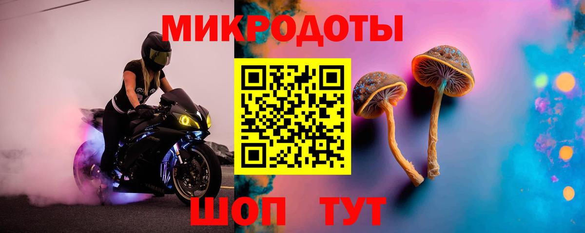 Псилоцибиновые грибы GOLDEN TEACHER Троицк